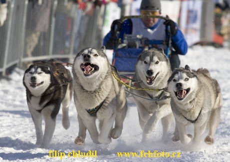 Decinsky sneznik 05 - 360.jpg